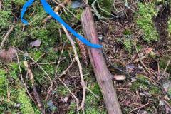 IMG-20251110-WA0166
