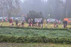 IMG-20251111-WA0013