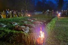 IMG-20251111-WA0023