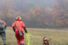 IMG_0476_2