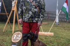 ISHV24