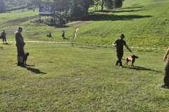 WhatsApp-Image-2026-05-27-at-13.54.11-2