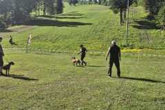 WhatsApp-Image-2026-05-27-at-13.54.11-4