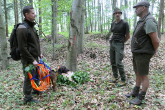 vd10