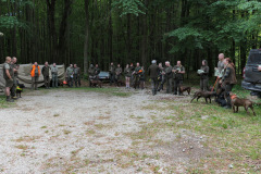 vd16