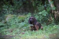 IMG-20260616-WA0025