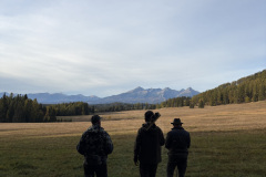 007