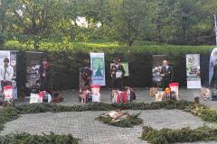 IMG-20241113-WA0026