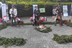 IMG-20241113-WA0028