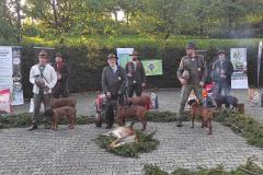 IMG-20241113-WA0029