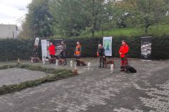 IMG-20241113-WA0038