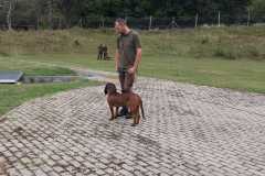 WhatsApp-Image-2022-08-21-at-20.21.03