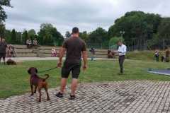 WhatsApp-Image-2022-08-21-at-20.21.06-1