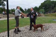 WhatsApp-Image-2022-08-21-at-20.21.11