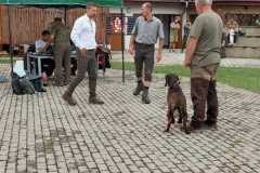 WhatsApp-Image-2022-08-21-at-20.21.12