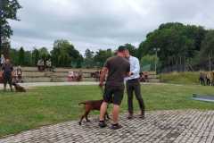 WhatsApp-Image-2022-08-21-at-20.21.14