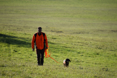 DSC_0041