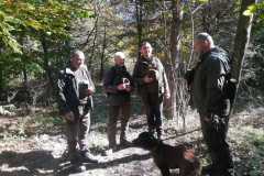 IMG-20241020-WA0002