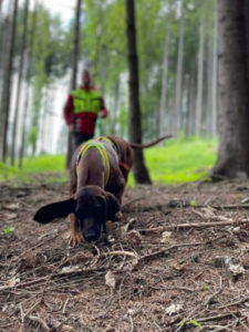 Read more about the article Klubové PF  – Lovce ( chata Stanovisko) 9.5.2026