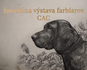 Read more about the article Špeciálna výstava Farbiarov Hanušovce nad Topľou