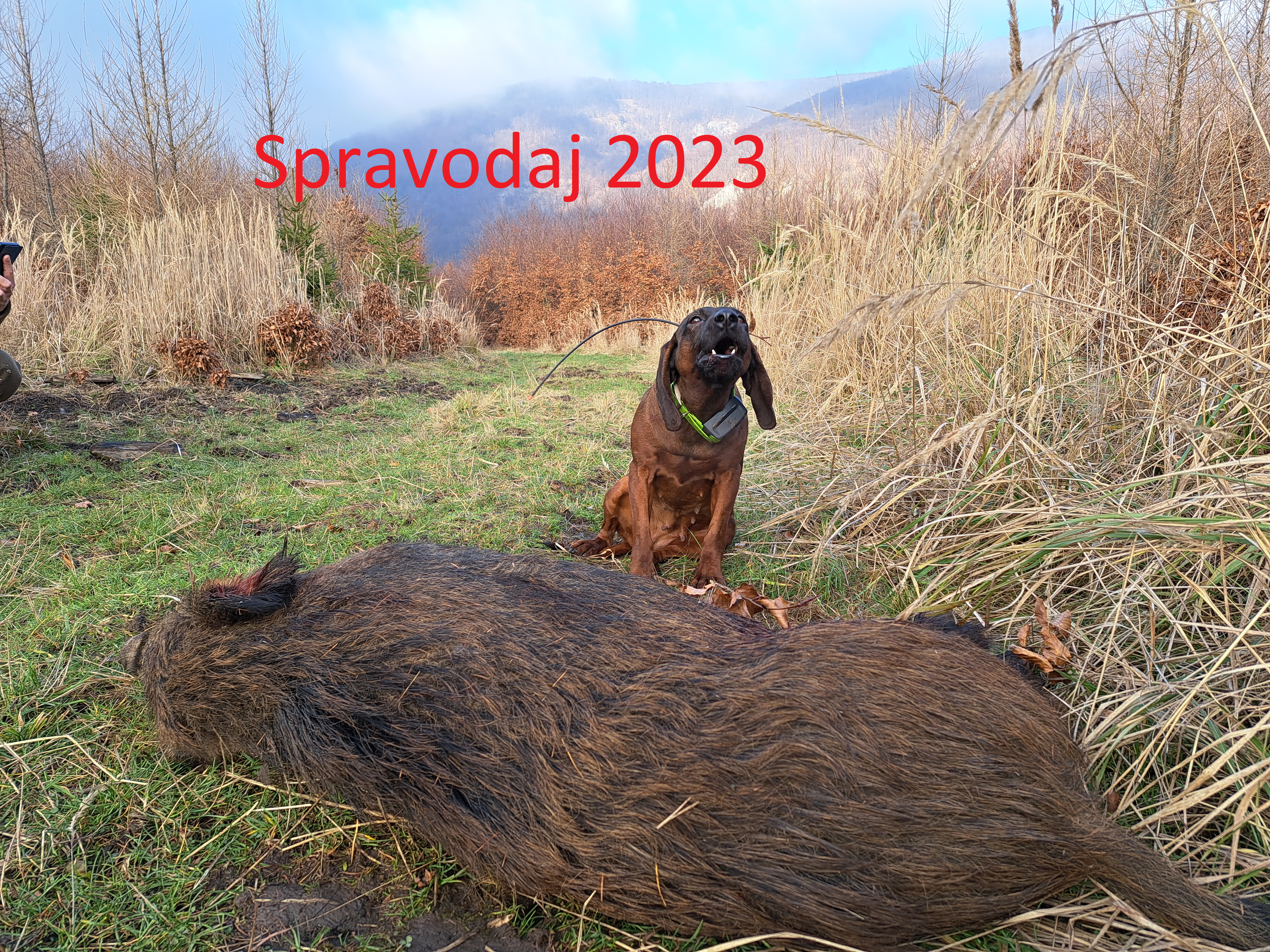 Read more about the article Spravodaj 2023