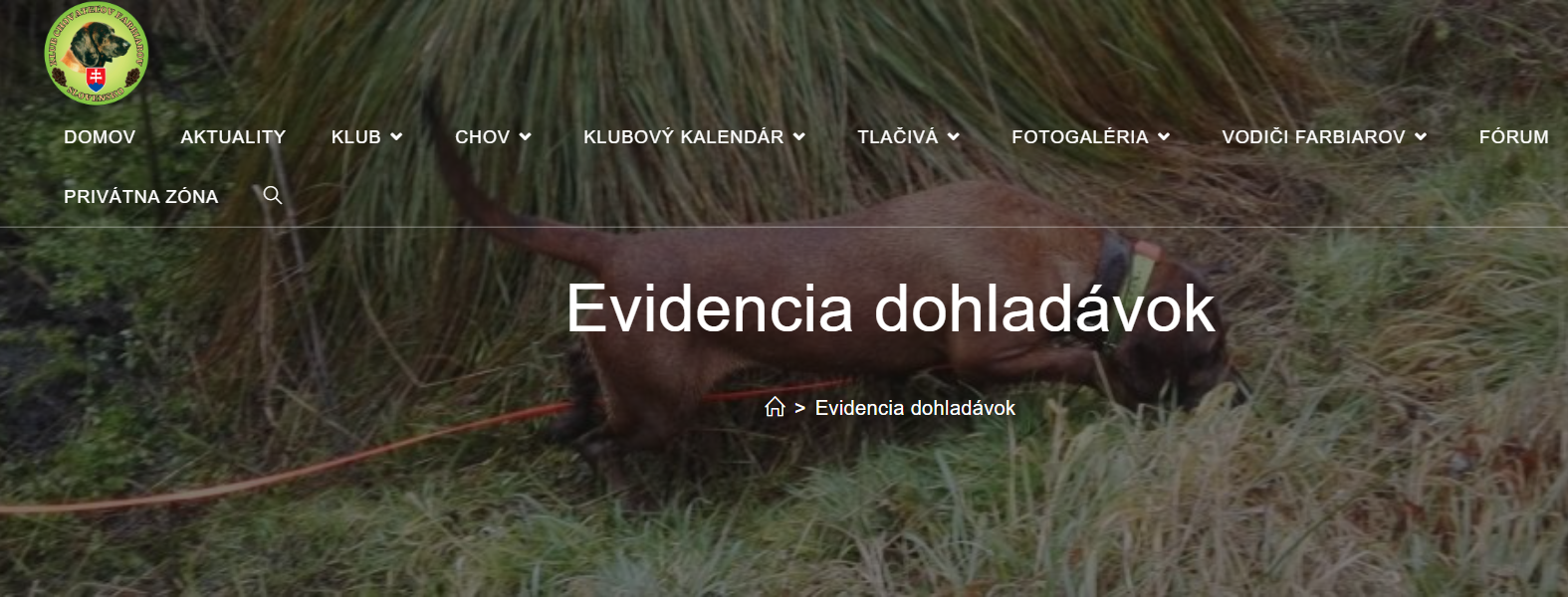 Read more about the article Hlásenie Dohľadávok za rok 2022