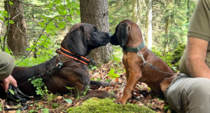 Read more about the article Výcvikový deň spádová oblasť Ružomberok